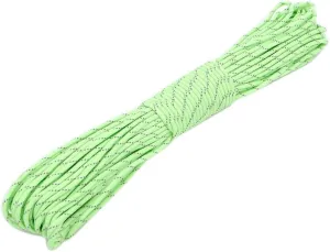 100Feet 4.5mm Paracord Rope,9 Strand Reflective Parachute Cord,High Visible Utility Nylon Cord for Outdoor Survival Camping Hiking Tent Biking Boating Hunting and Crafting