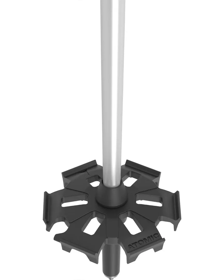 Bct Touring Sqs Women's Ski Poles - Plum