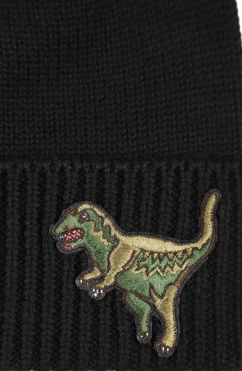 Coach Men's Rexy Patch Beanie