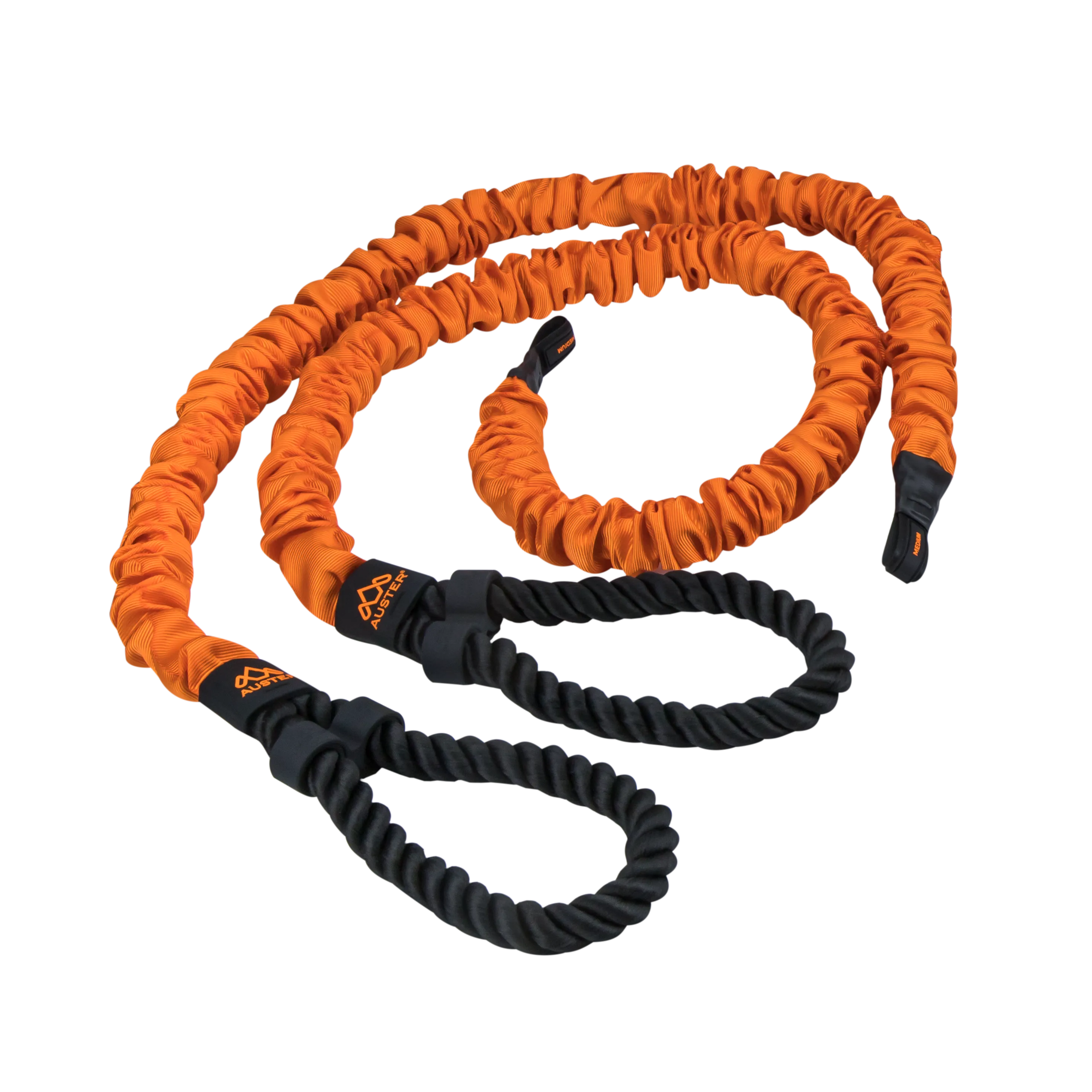 DYNAMIC BANDS