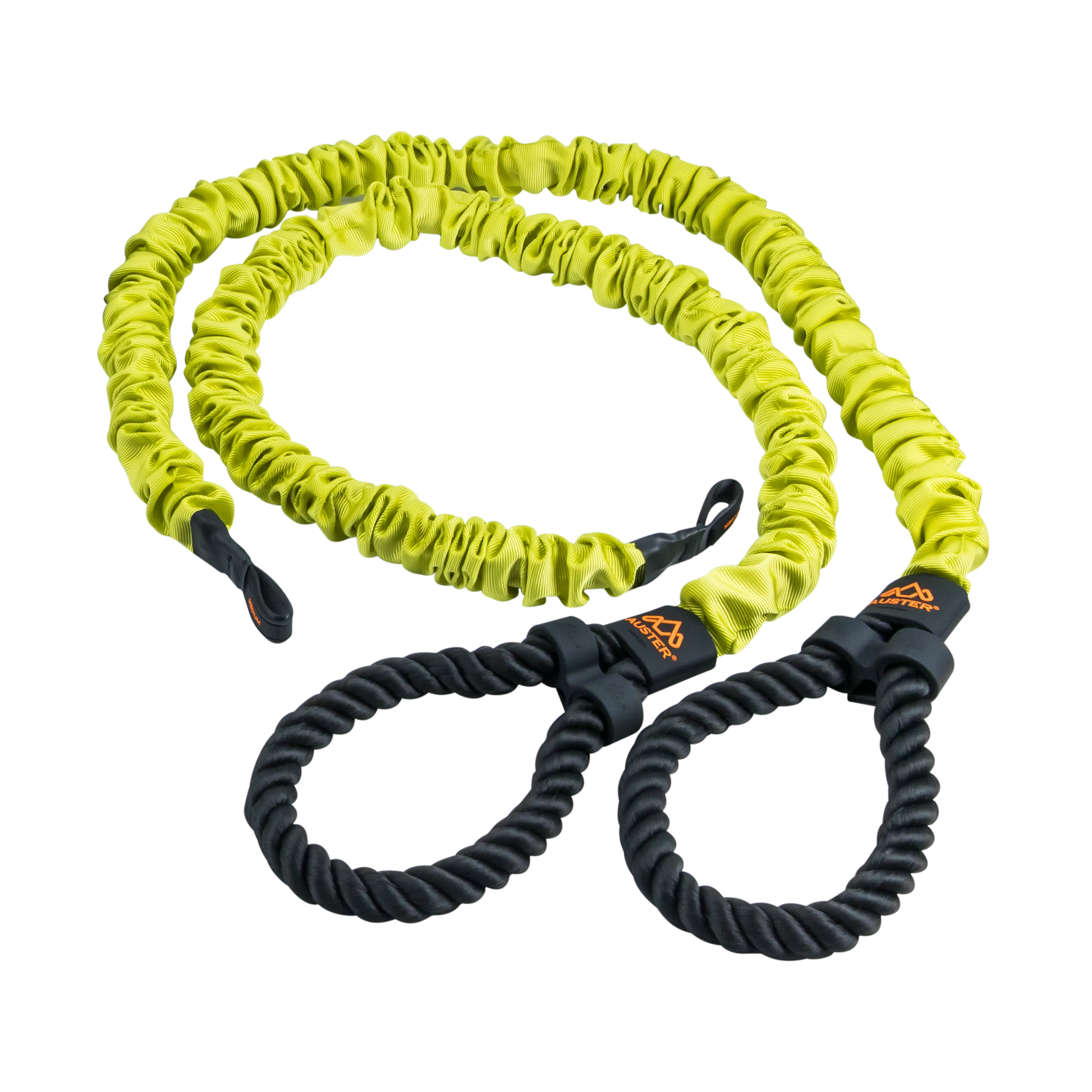 DYNAMIC BANDS