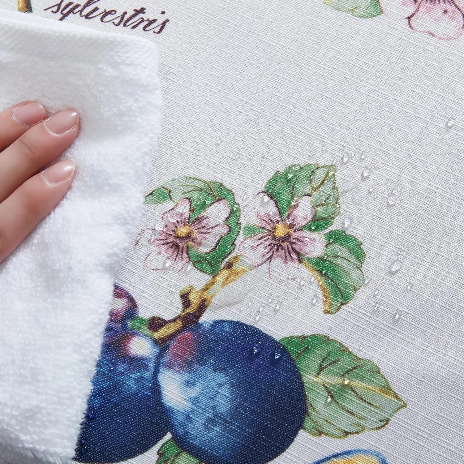 Elrene Home Fashions Villeroy & Boch French Garden Fleurence Stain and Water Resistant Dining Tablecloth, 70"x70" Round