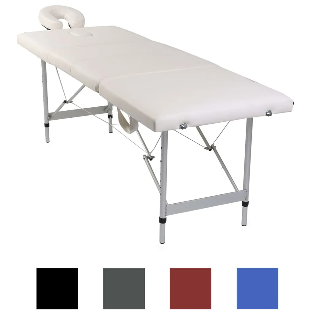 Foldable Massage Table Bed Beauty Table 4 Zones with Aluminum Frame