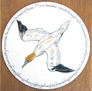 Gannet Diving Tablemat