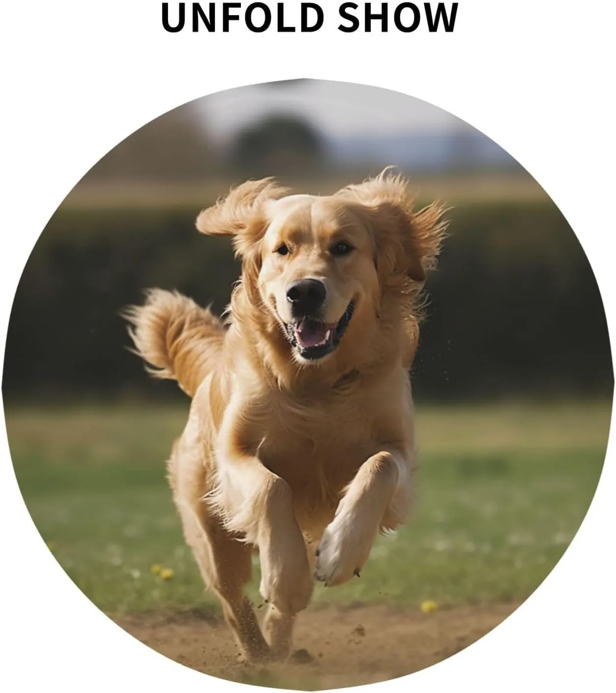 Golden Retriever Running Print Tablecloth Spill-Proof Water Table Cloth Decorative Fabric Table Cover for Home Kitchen Indoor and Outdoor Dining Table 60 Inch