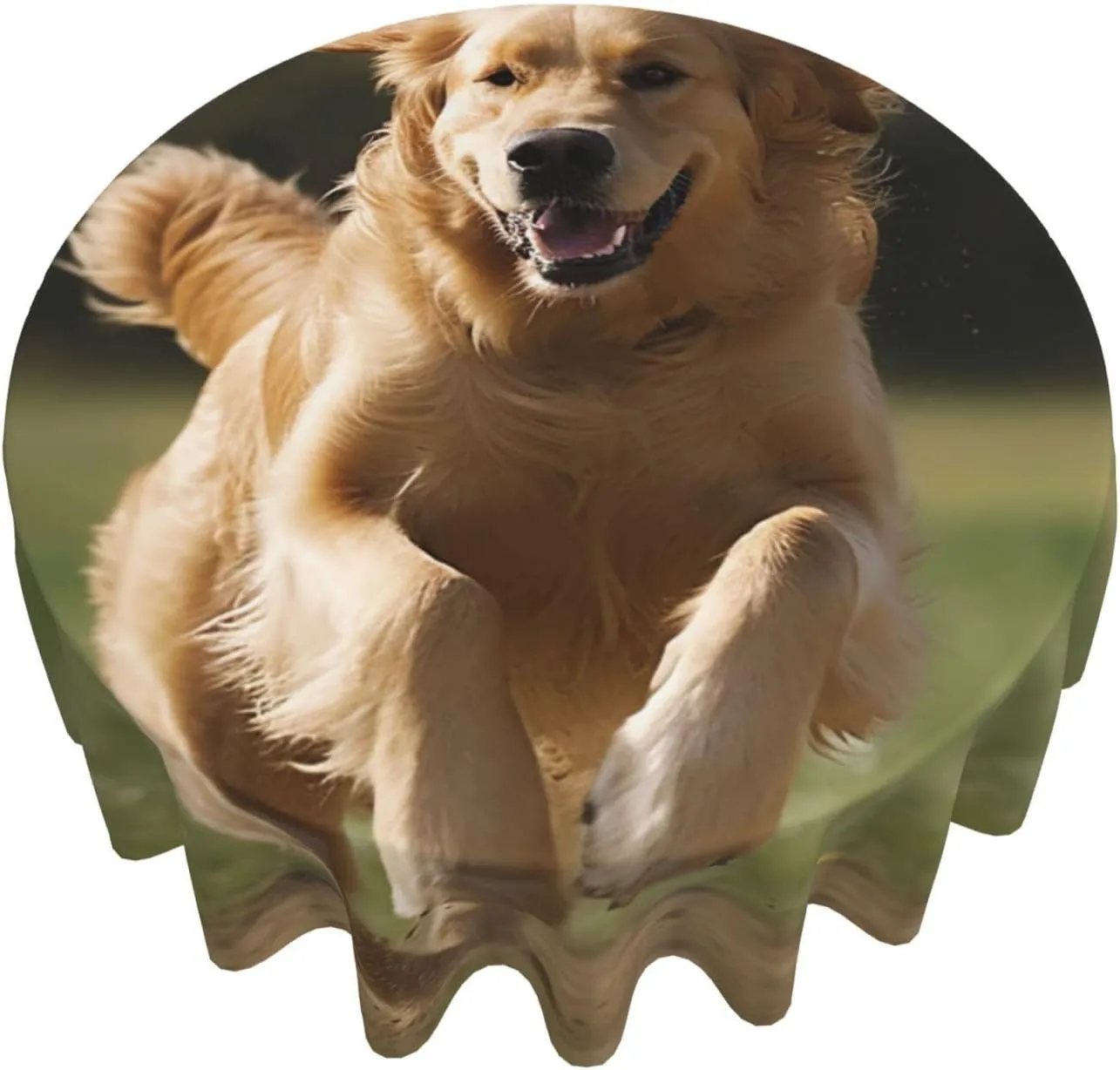 Golden Retriever Running Print Tablecloth Spill-Proof Water Table Cloth Decorative Fabric Table Cover for Home Kitchen Indoor and Outdoor Dining Table 60 Inch