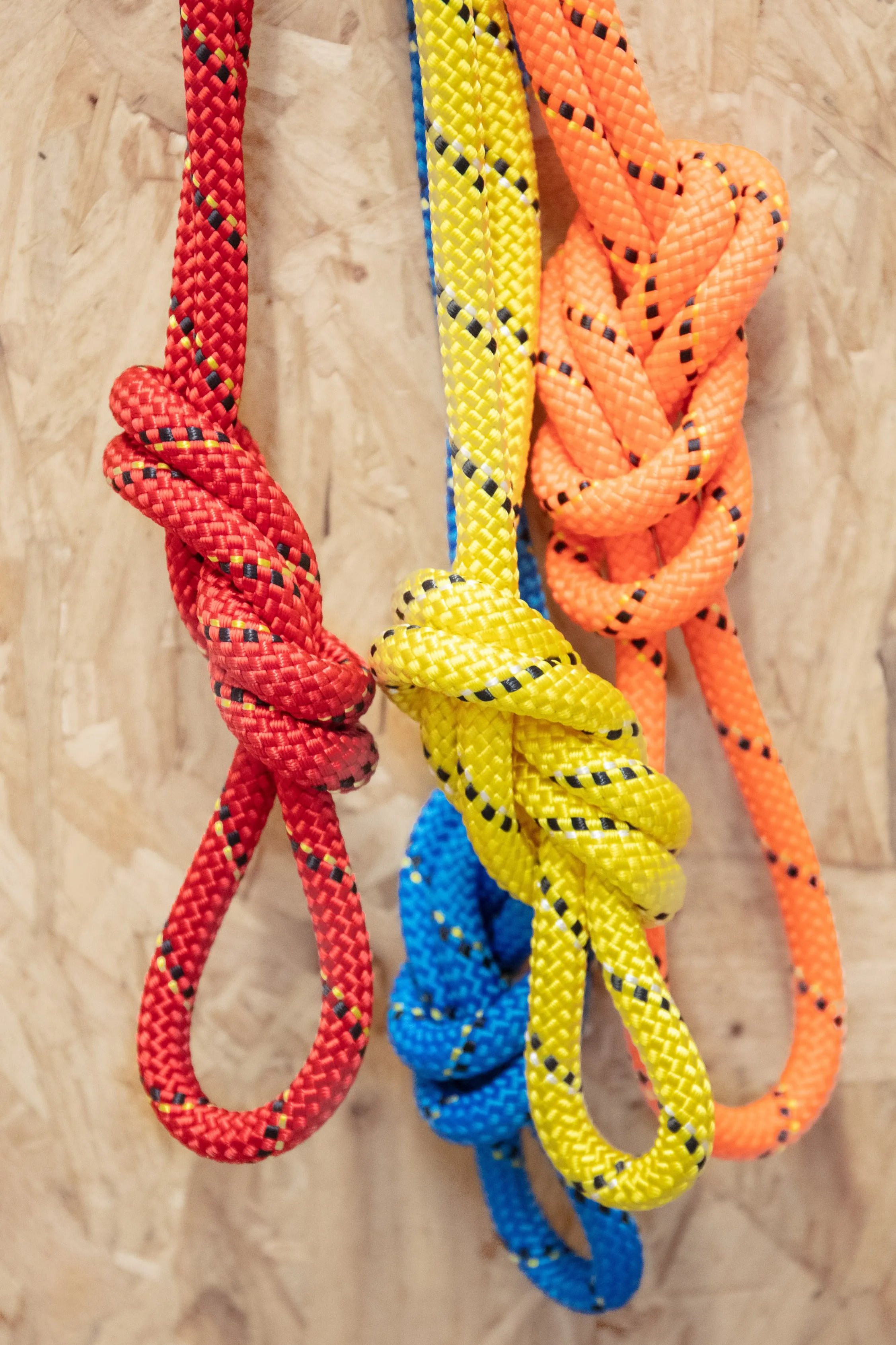 Petzl - Parallel 10.5mm
