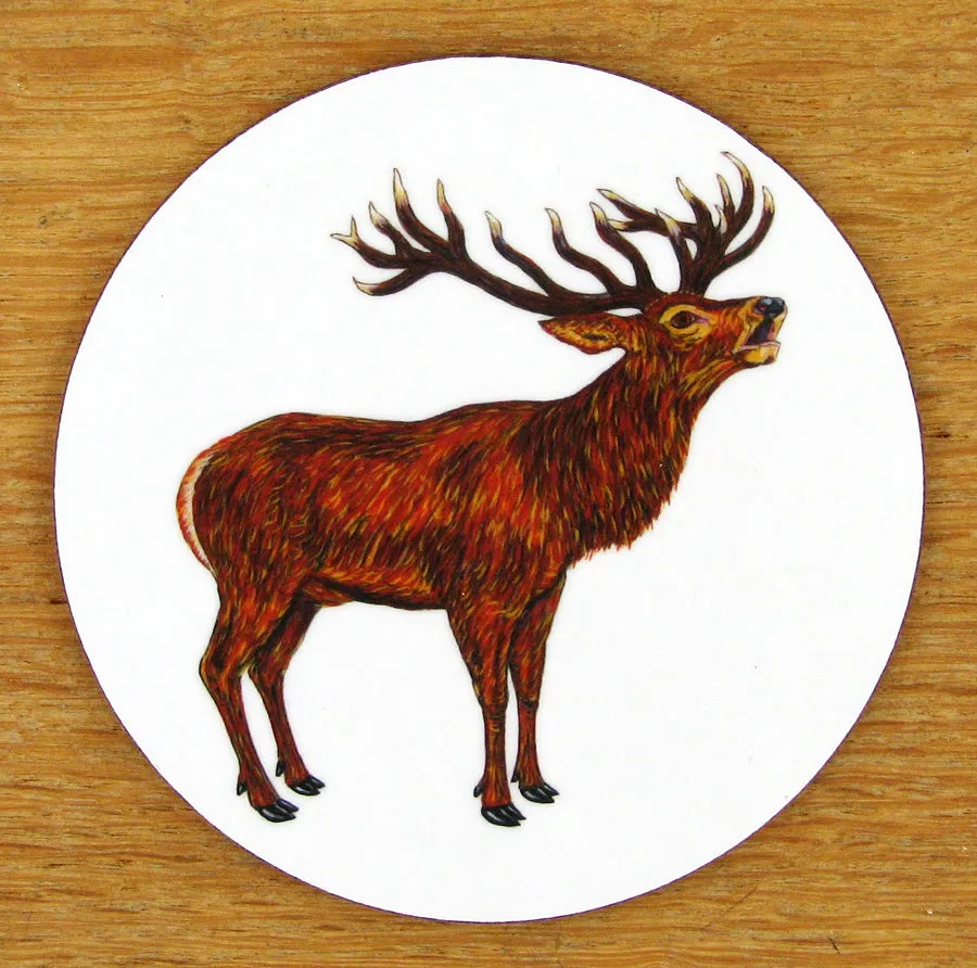 Richard Bramble Stag Roaring Coaster