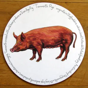 Tamworth Pig Tablemat