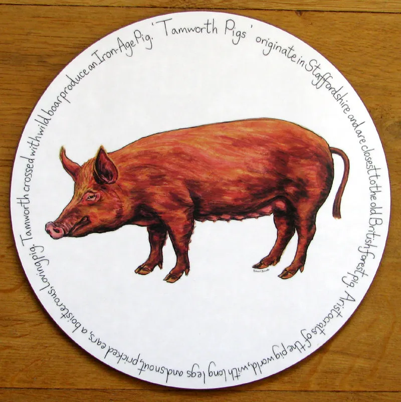 Tamworth Pig Tablemat