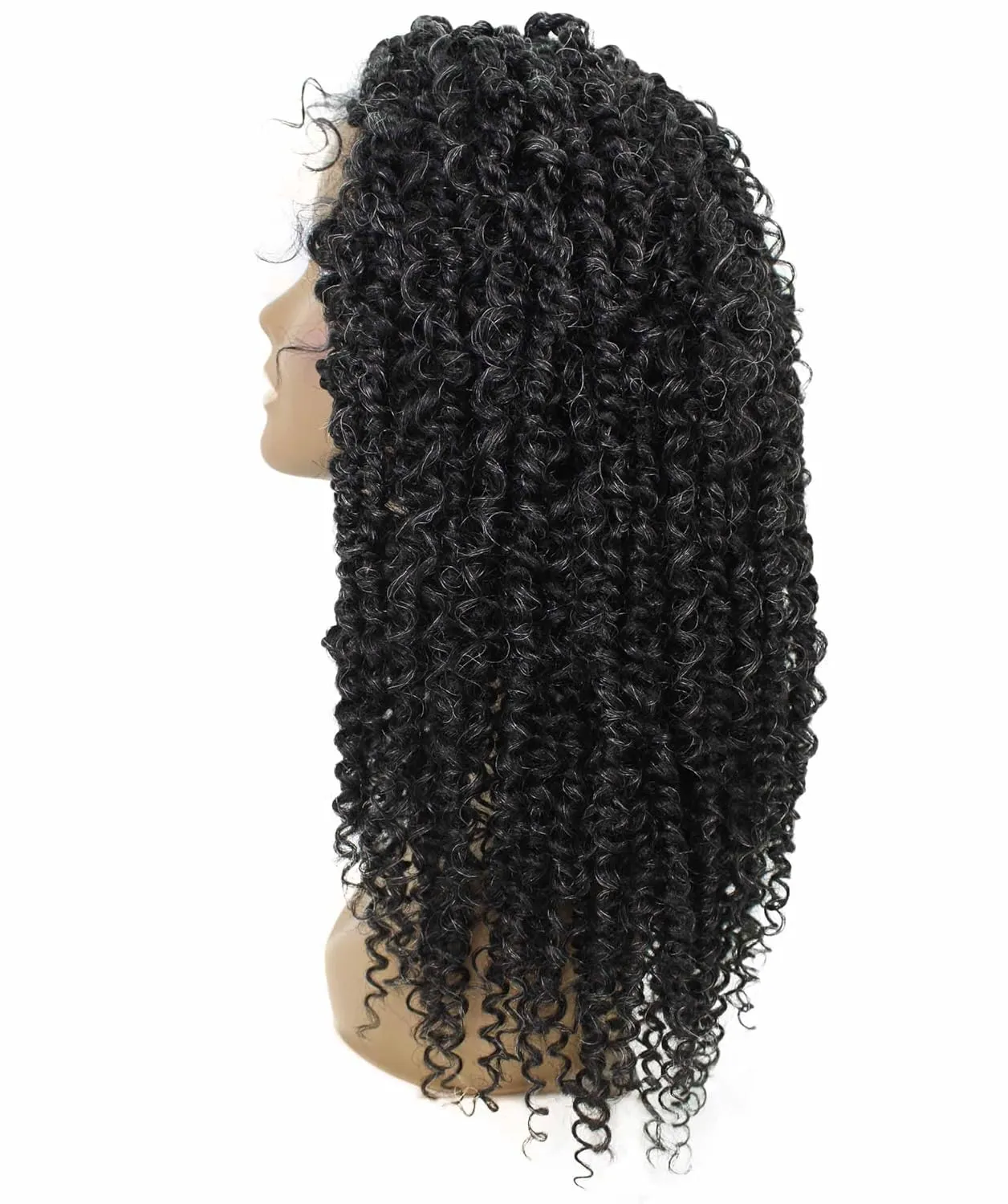Tierra Curly 19 in Long 4x4 Hand Tied Lace Braid Braided Wig, Beauty Heat Resistant Fiber, 20  Shades of Natural, Dip Dyed, & Blended Colors
