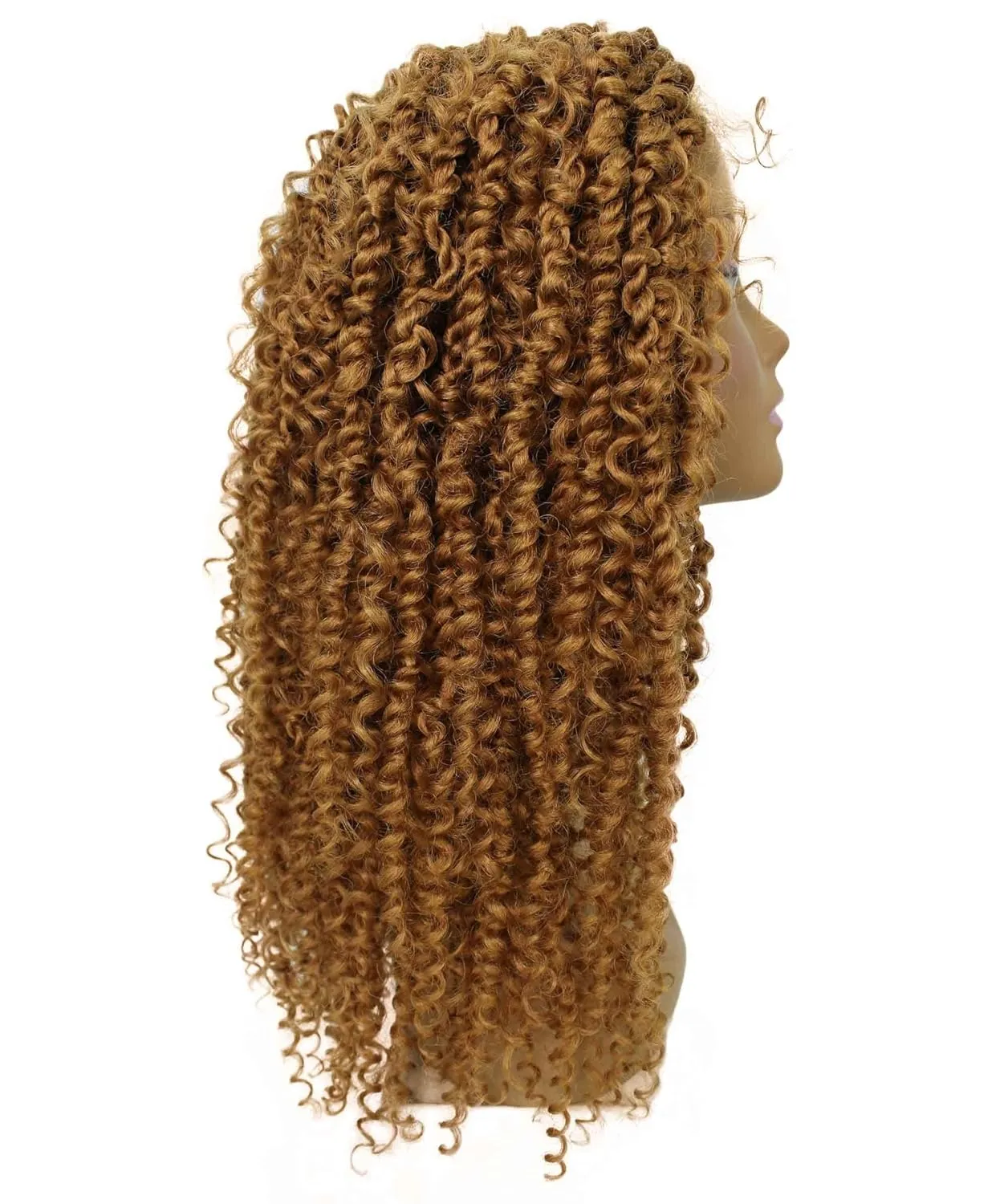 Tierra Curly 19 in Long 4x4 Hand Tied Lace Braid Braided Wig, Beauty Heat Resistant Fiber, 20  Shades of Natural, Dip Dyed, & Blended Colors