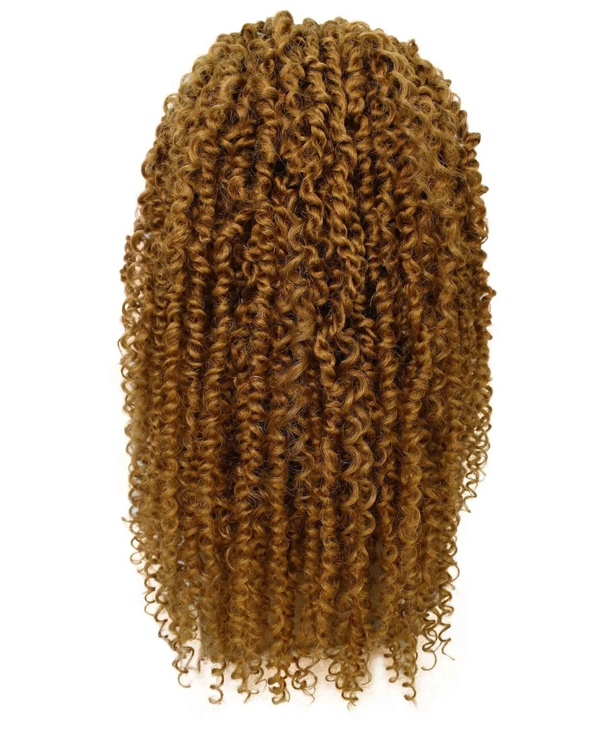 Tierra Curly 19 in Long 4x4 Hand Tied Lace Braid Braided Wig, Beauty Heat Resistant Fiber, 20  Shades of Natural, Dip Dyed, & Blended Colors