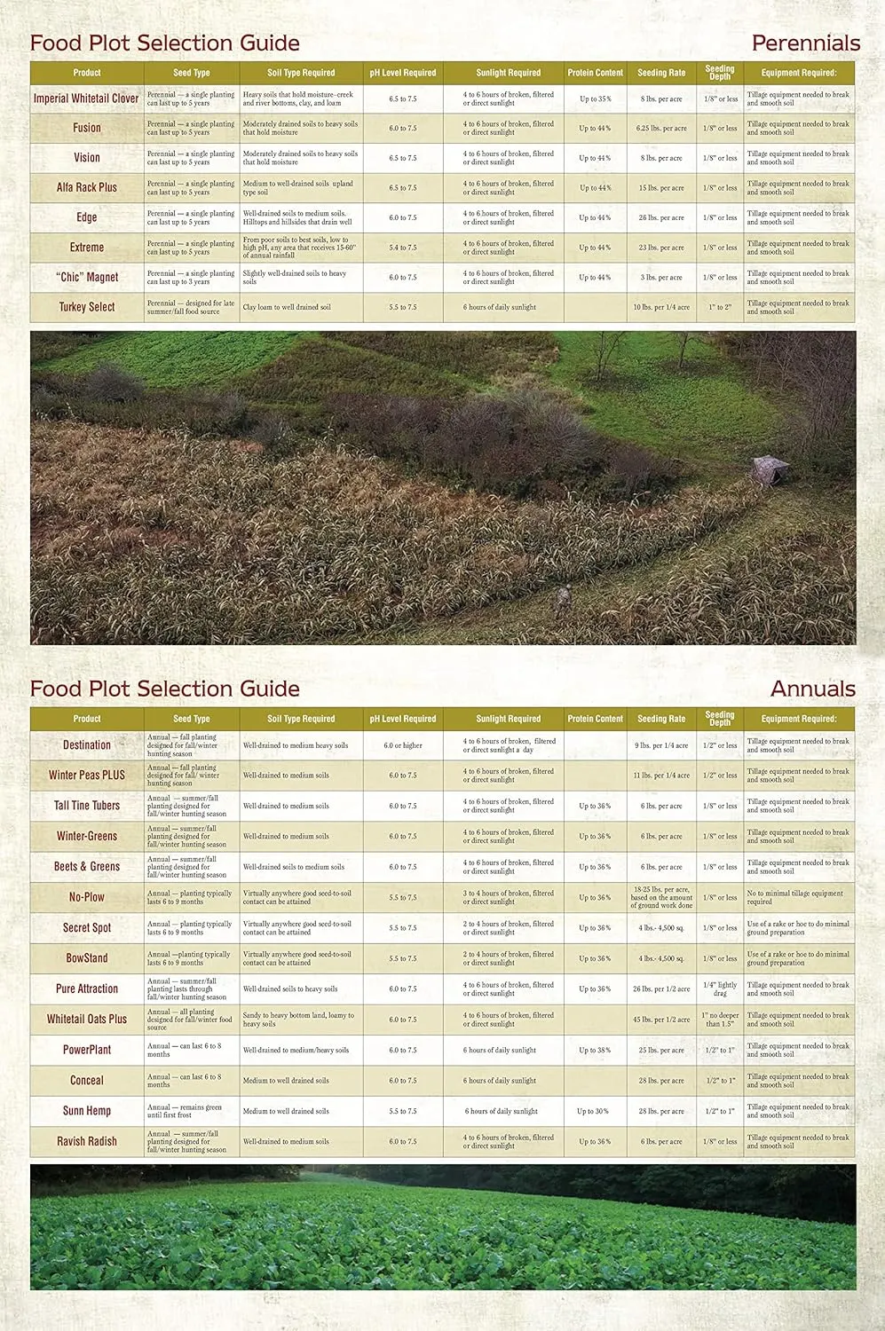 Whitetail Institute FUSION Deer Food Plot Seed for Spring or Fall Planting, Blend of Clover and Chicory for Maximum Deer Attraction, Heat, Cold and Drought Tolerant